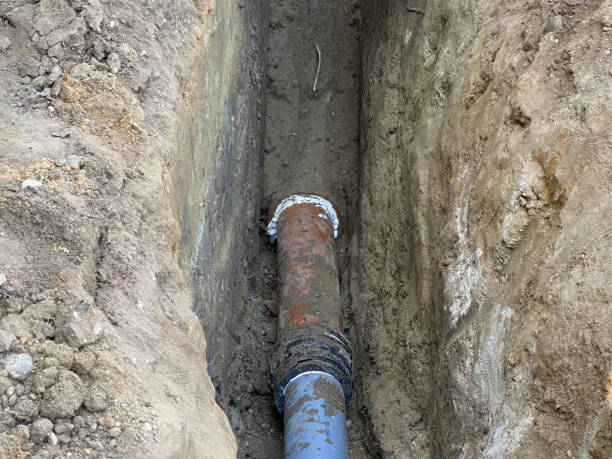  Oakland Park, FL Water damage restoration Pros