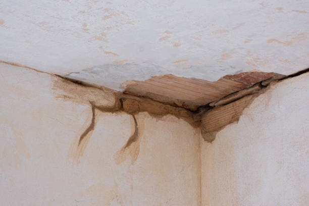 Best Residential water damage restoration  in Oakland Park, FL