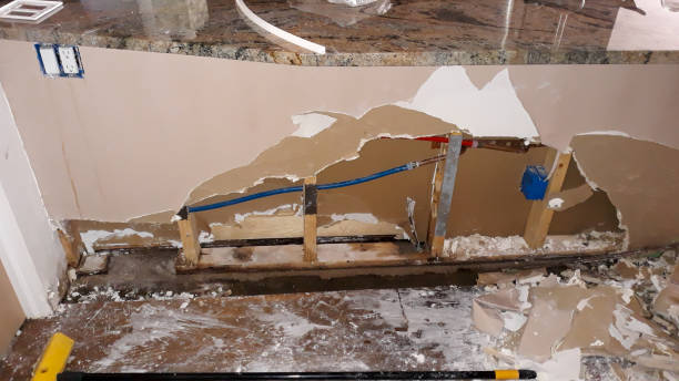 Best Ceiling water damage repair  in Oakland Park, FL