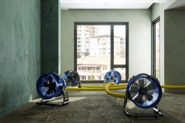 Best Flood restoration services  in Oakland Park, FL